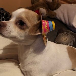 Meet your Posher, Lorena